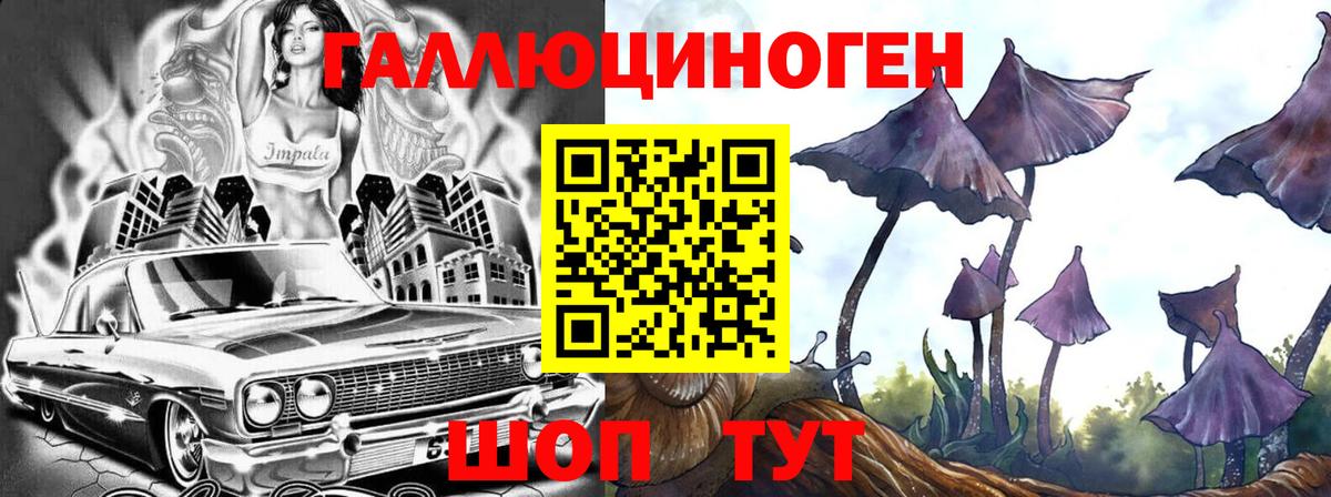 Галлюциногенные грибы Psilocybine cubensis Бутурлиновка