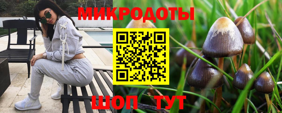 Бутурлиновка  закладка  Вход с VPN  Галлюциногенные грибы мицелий  Галлюциногенные грибы GOLDEN TEACHER 